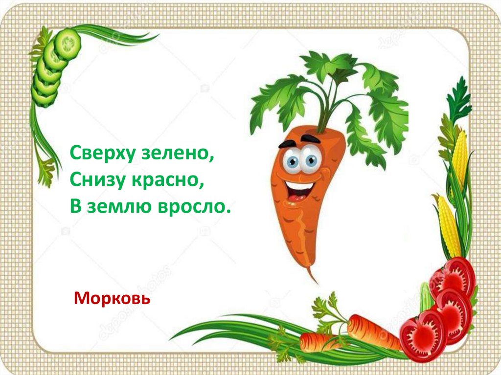 Сверху зелено снизу красно. Загадка про морковь для детей. Загадка про морковку. Загадка про морковку для детей. Загадка про морковь для детей 6-7.