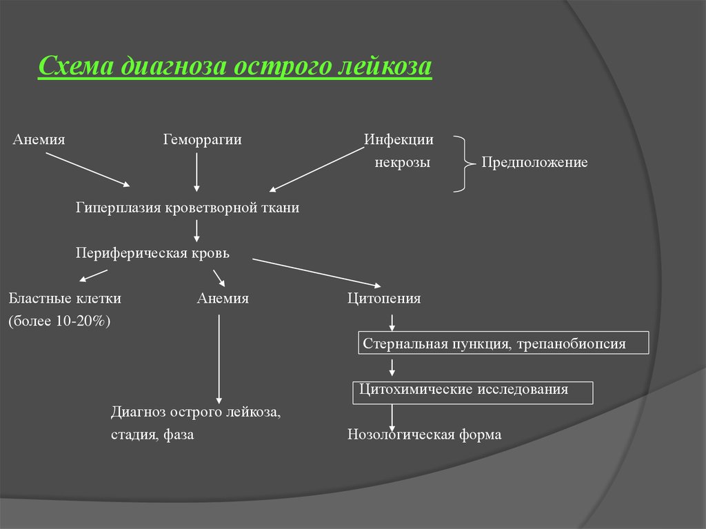 План обследования при лейкозе