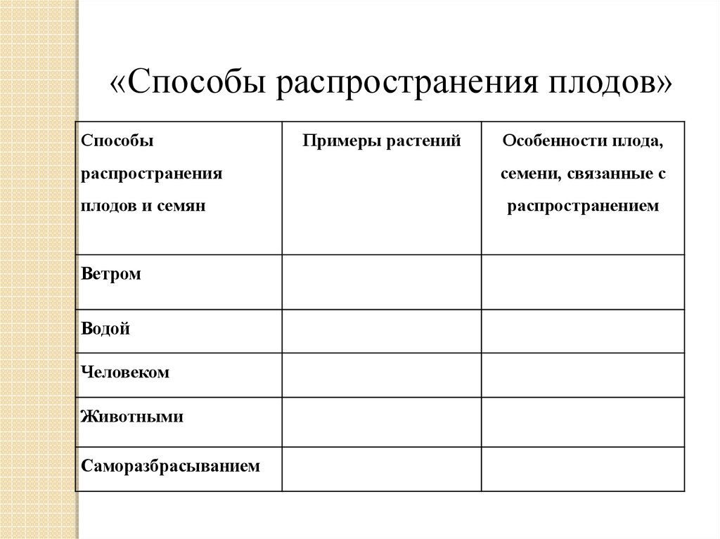 Какие способы распространения. Особенности плода семени связанные с распространением. Особенность плода семян связаны с распространением. Способы распространения словаря. Способ распространения акций.