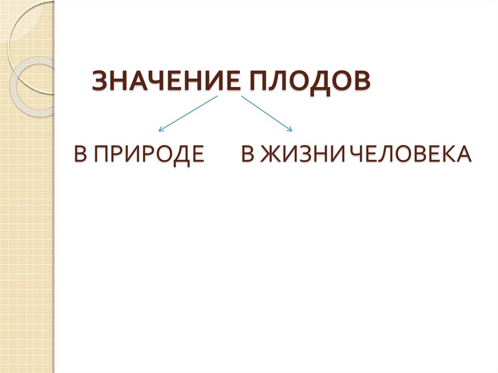 Значение плодов в жизни