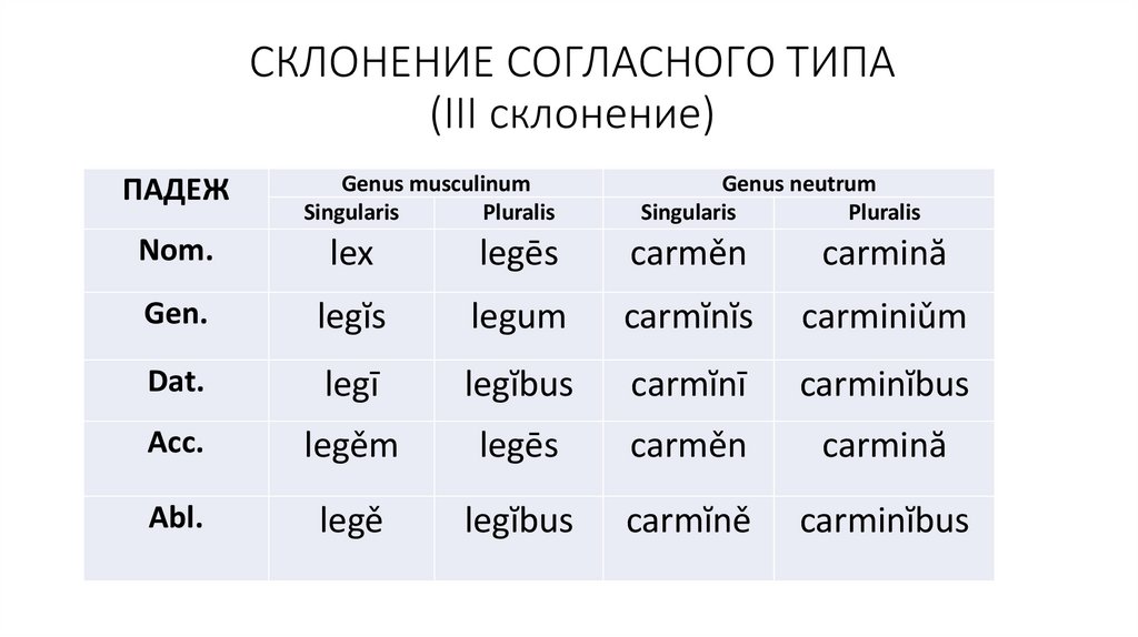 Слово латынь склонение. Согласный Тип 3 склонения в латинском языке. Существительные согласного типа третьего склонения латынь. Типы 3 склонения латынь. Типы 3 склонения в латинском языке.