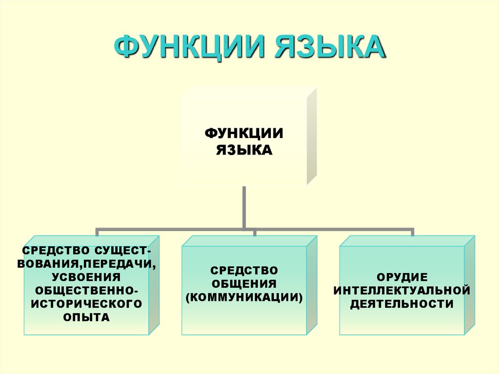 Назвать функции языка. Функции языка. Назовите и охарактеризуйте функции языка. Основные функции языка кратко. Назовите основные функции языка.