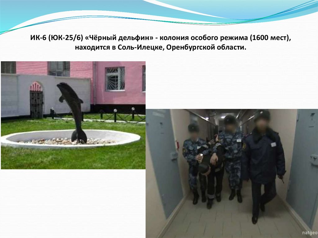 ИК-6 (ЮК-25/6) «Чёрный дельфин» - колония особого режима (1600 мест), находится в Соль-Илецке, Оренбургской области.