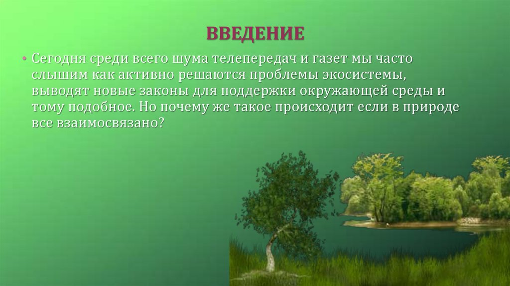 Дубраву как устойчивую экосистему характеризуют 1. Экосистема фото для презентации. Условия устойчивого состояния экосистем. Проблемы экосистемы. Слайд презентации про экосистему.