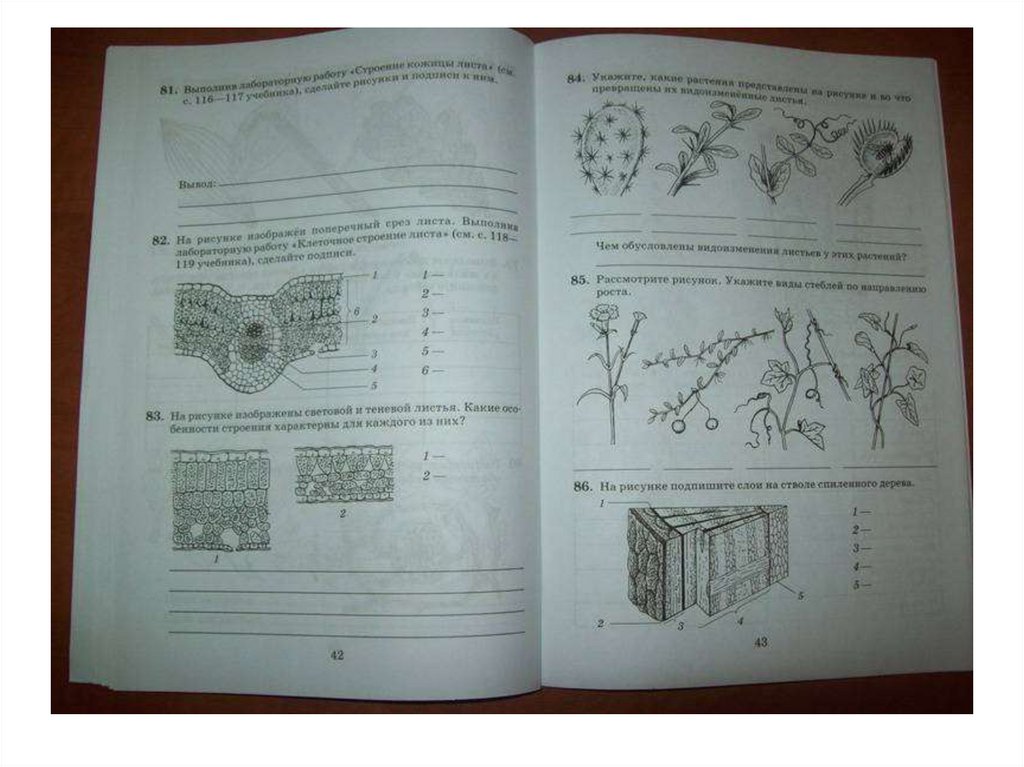Подпишите рисунок 1 2 3. Рабочая тетрадь к учебнику биологии 6 растения. Задания Пасечник рабочая тетрадь 5-6 класс. Р.Т.4 биология 6 класс. Тетрадь для самостоятельных работ по биологии 6 класс класс.