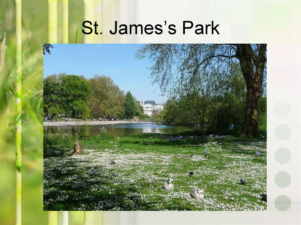 Слайд парк. St James Park London презентация. Лондонские парки фото презентация.