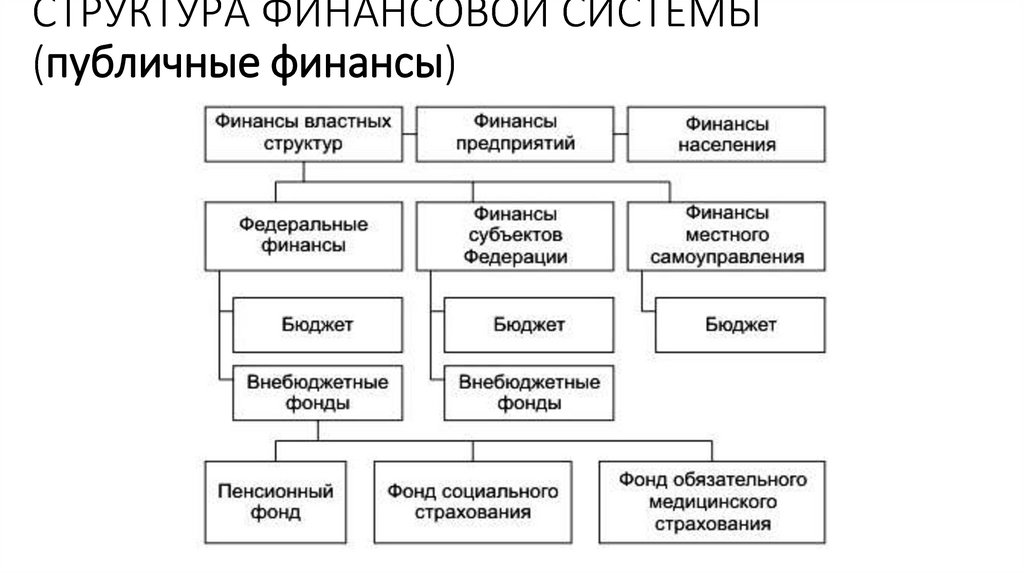 Органы общественного финансового контроля