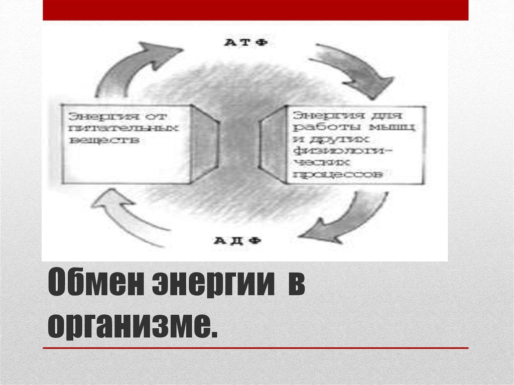 Обмен энергии