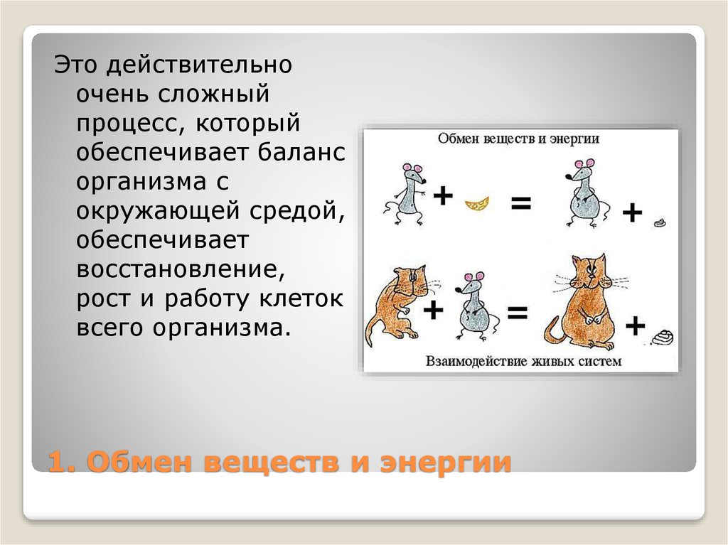 В чем отличие живого от неживого в структурном плане