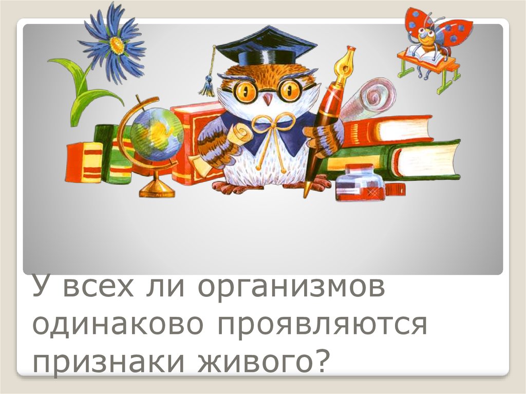 В чем отличие живого от неживого в структурном плане