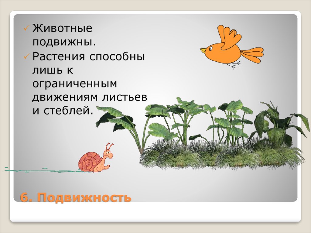 Живое отличается от неживого. Растения способны. Подвижность растений. Подвижность растение и животное. Подвижные растения.