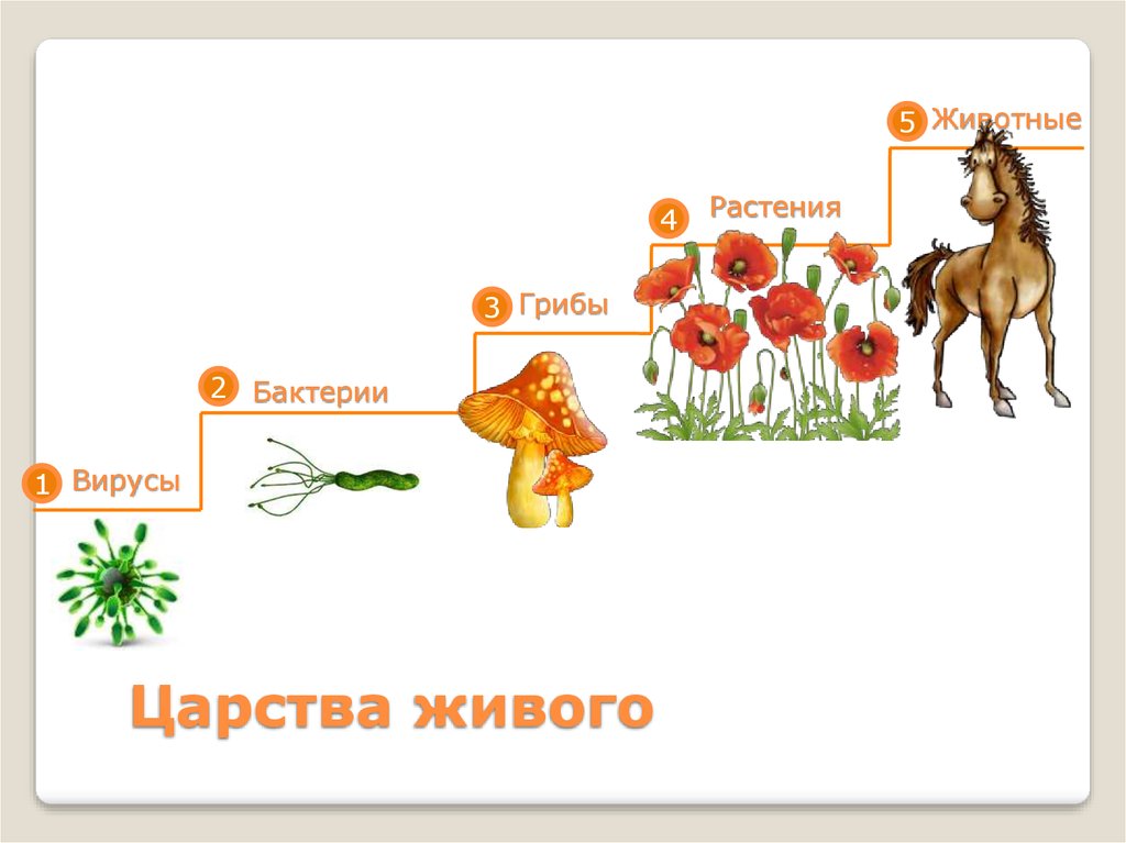 Живые организмы отличаются. Реакция на прикосновение живое и неживое. Презентация чем живое отличается от неживого 6 класс Сонин. Разница живого и неживого веса курицы. Чем собака Живая отличается от игрушки биология.