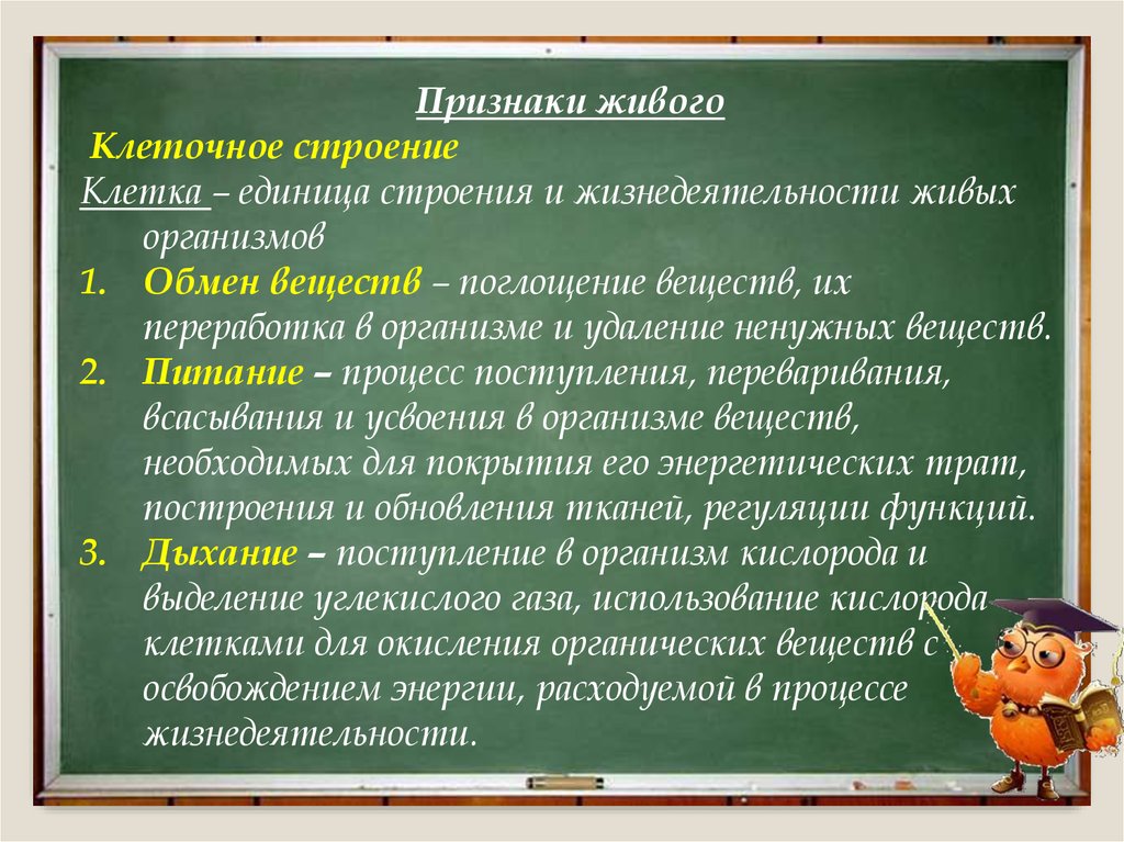 В чем отличие живого от неживого в вещественном плане