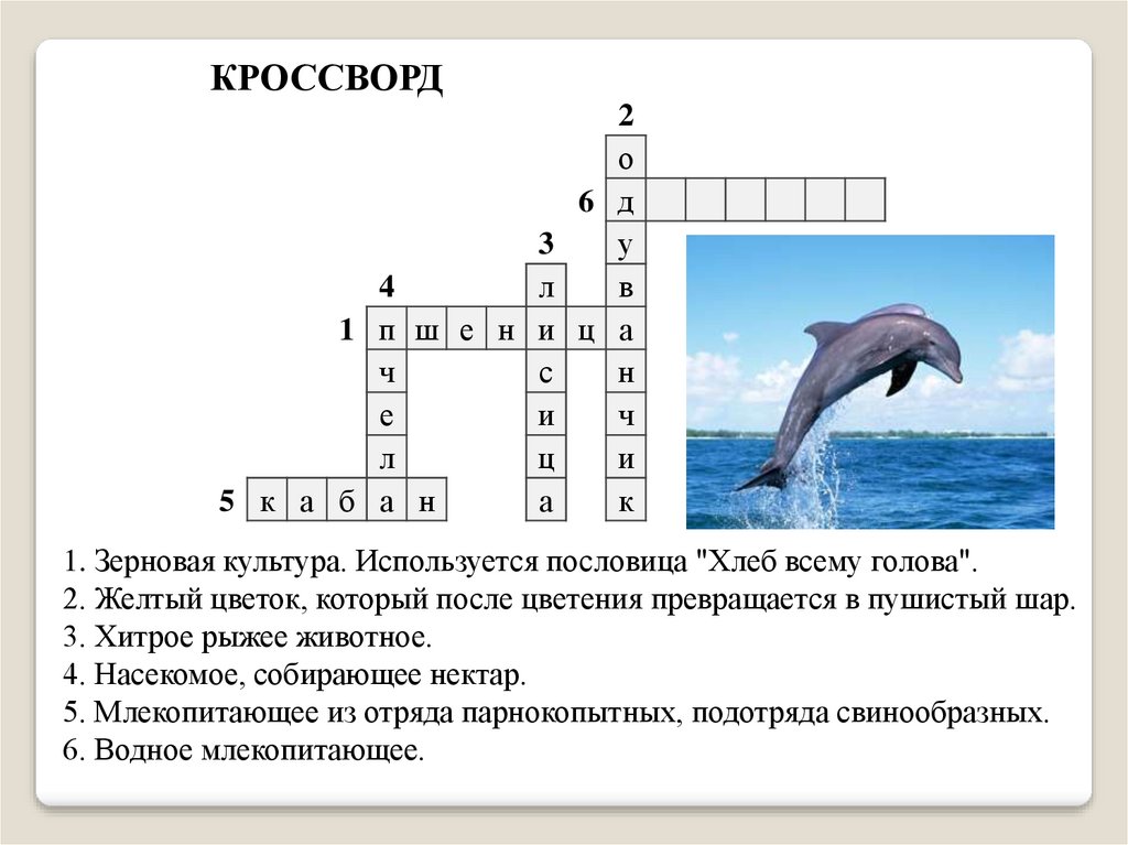 Вопросы по земноводным 7 класс с ответами. Кроссворд млекопитающие. Кроссворд на тему земноводные.