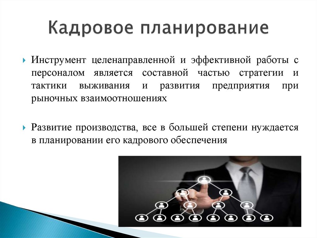 Кадровое планирование. Управление персоналом специальность. Перспективы профессии управление персоналом. Кадровое планирование осуществляется в интересах. Кадровое планирование в здравоохранении.