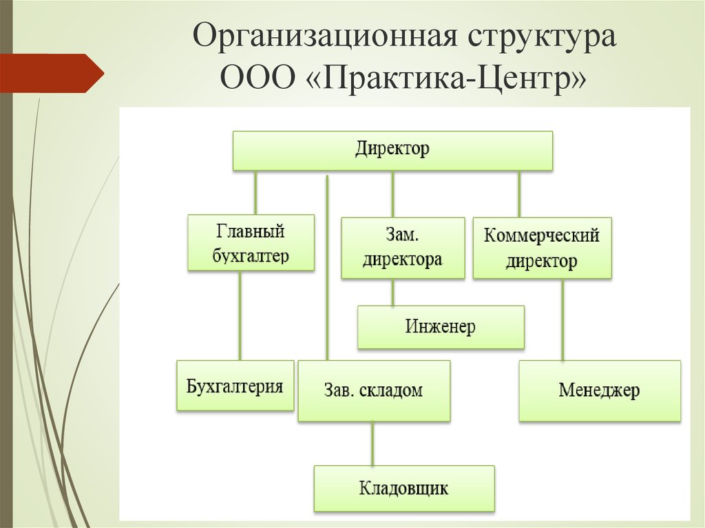 Организационная структура ООО «Практика-Центр»
