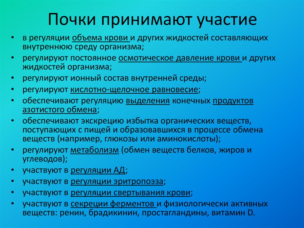 Принято участие. Почки принимают участие. Почки принимают участие в регуляции. Участие почек в регуляции объема жидкости организма. Почки учавствуютв регуляции.