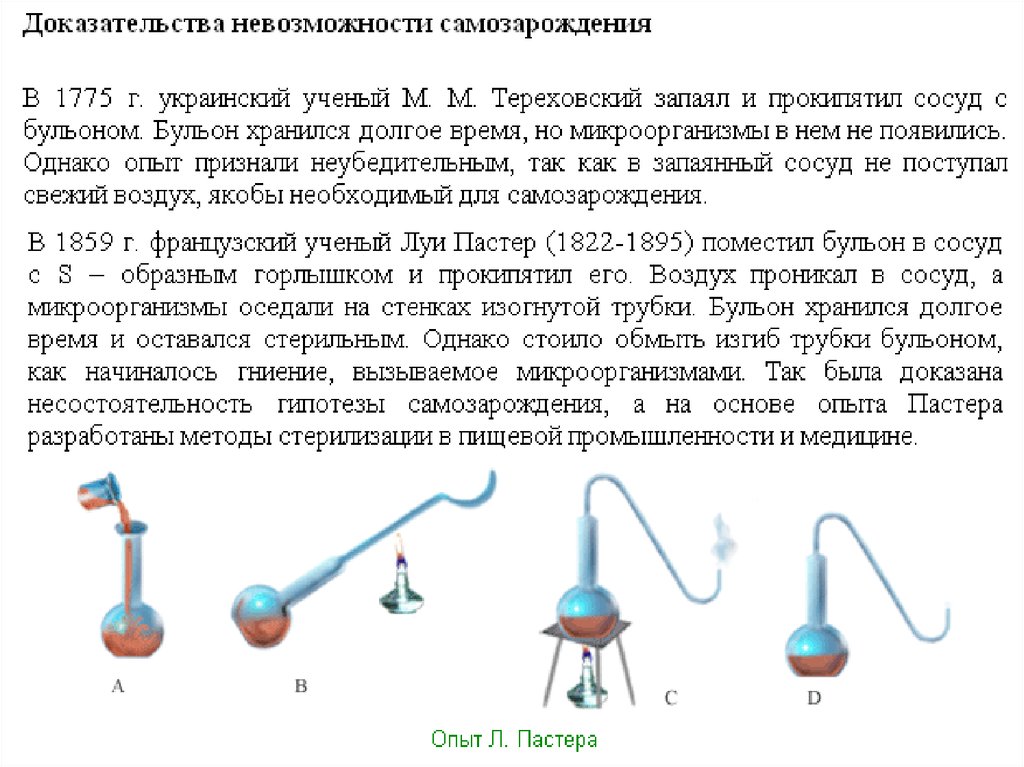 Год доказать. Луи Пастер теория самозарождения. Гипотеза самозарождения доказательства. Теория самозарождения опыт Пастера. Доказательство невозможности теории самозарождения жизни.