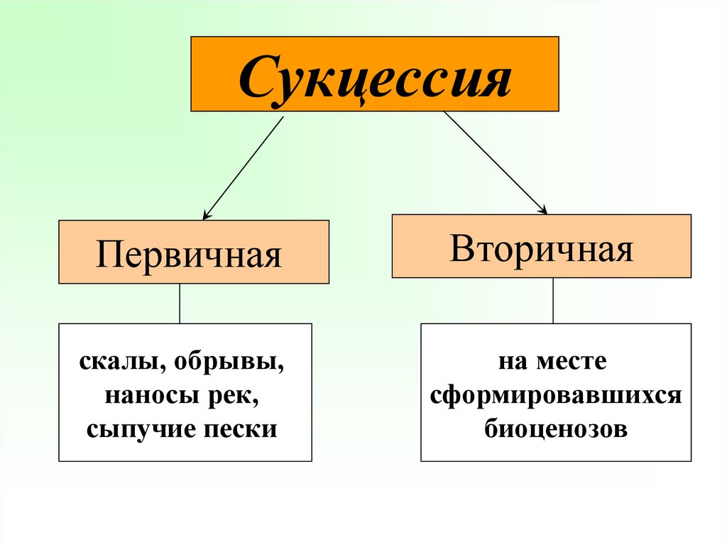 Различия между первичными и вторичными сукцессиями. Первичная сукцессия это в биологии 9 класс. Схема сукцессии первичной и вторичной. Первичная сукцессия и вторичная сукцессия таблица. Экологическая сукцессия первичная и вторичная.