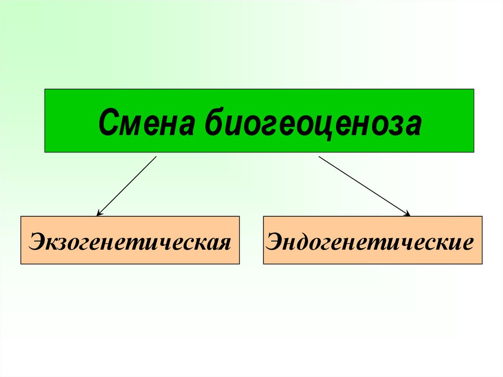 Смена биогеоценоза схема