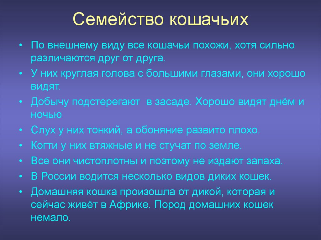 Презентация по биологии на тему семейство кошачьих