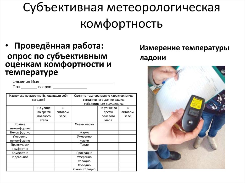 Субъективная метеорологическая комфортность