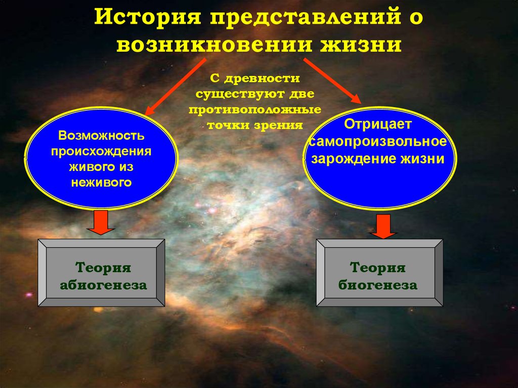 Представление рассказ