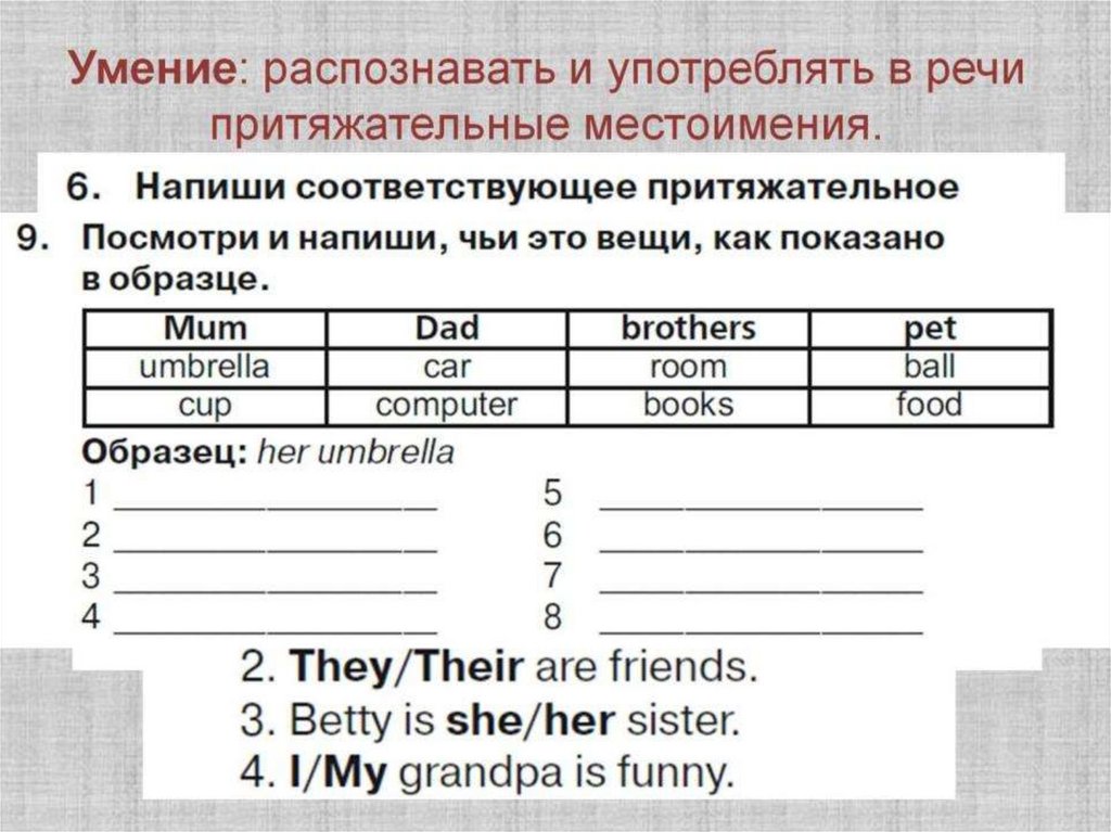 Умение: распознавать и употреблять в речи притяжательные местоимения.