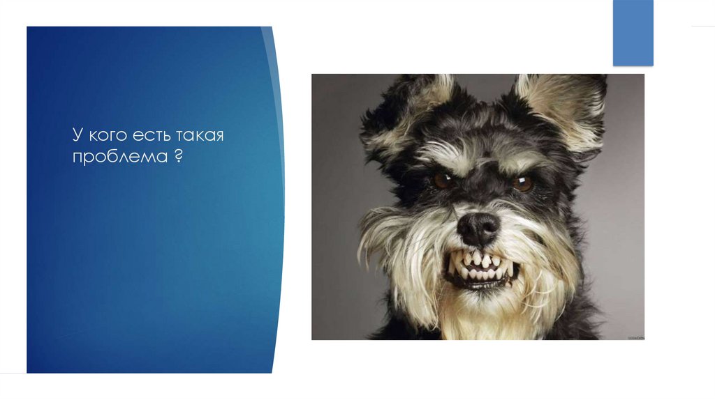 У кого есть такая проблема ?