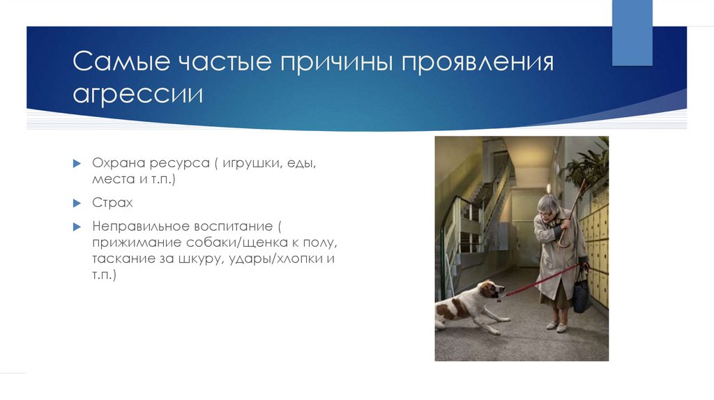 Самые частые причины проявления агрессии