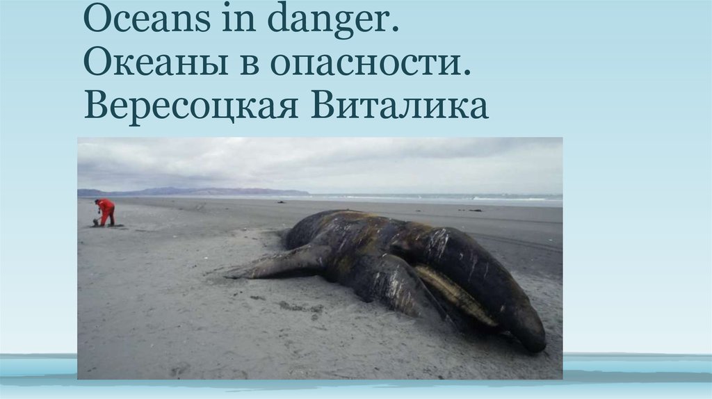 Опасности океана. Опасности океана презентация. Опасности океана доклад. Опасность океанов доклад.