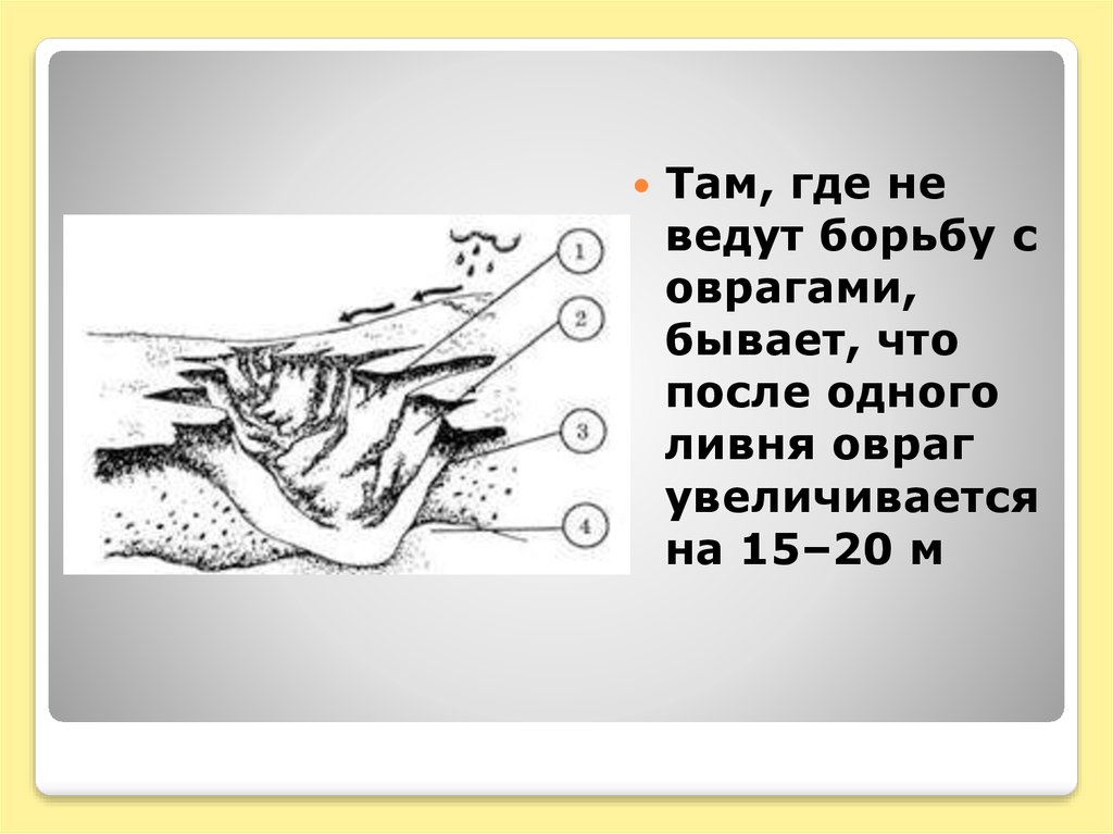 Из лесного оврага на дне которого бежал маленький родничок неслось воркованье диких голубей схема