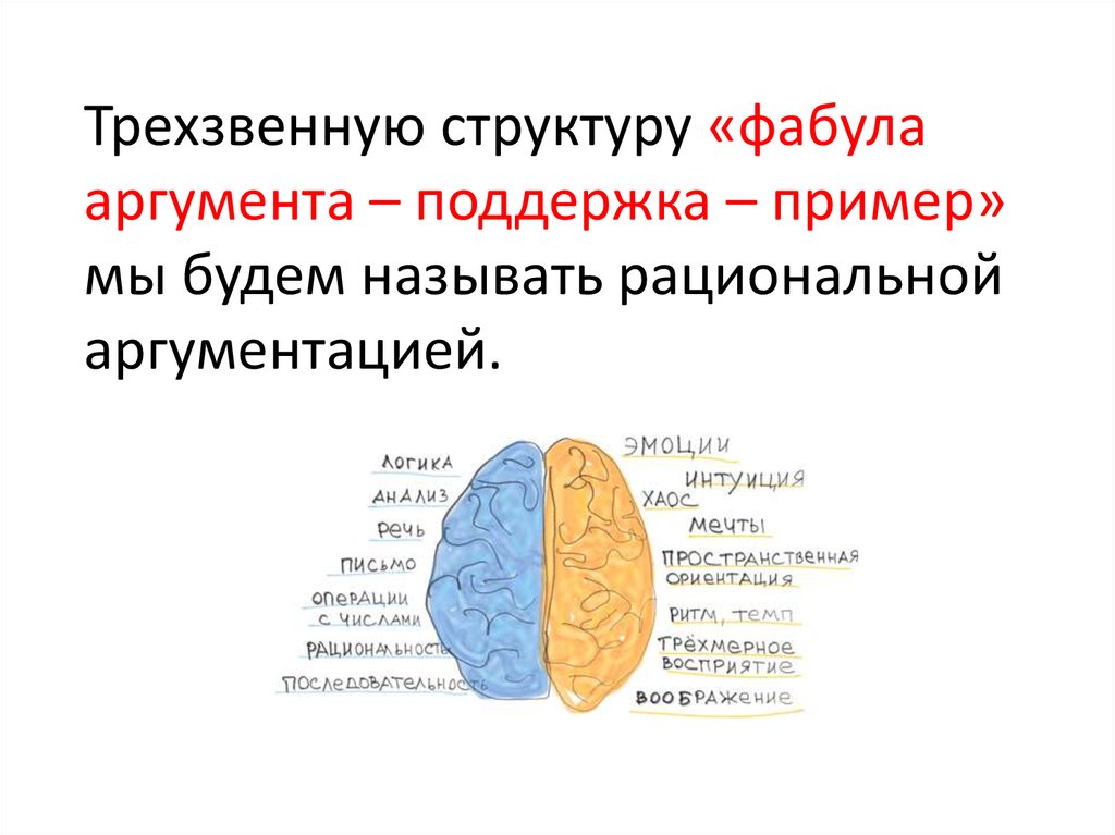 Аргумент поддержка пример