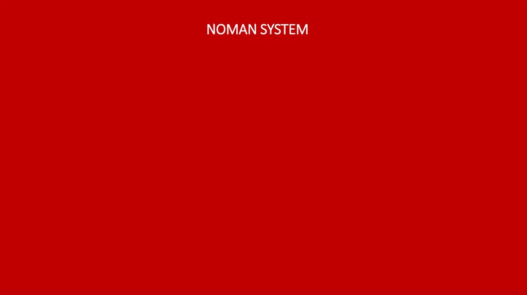 NOMAN SYSTEM