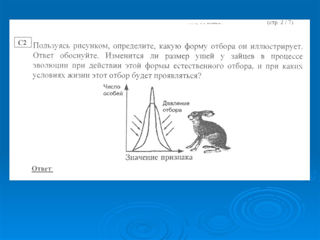 С помощью рисунка определите какую работу