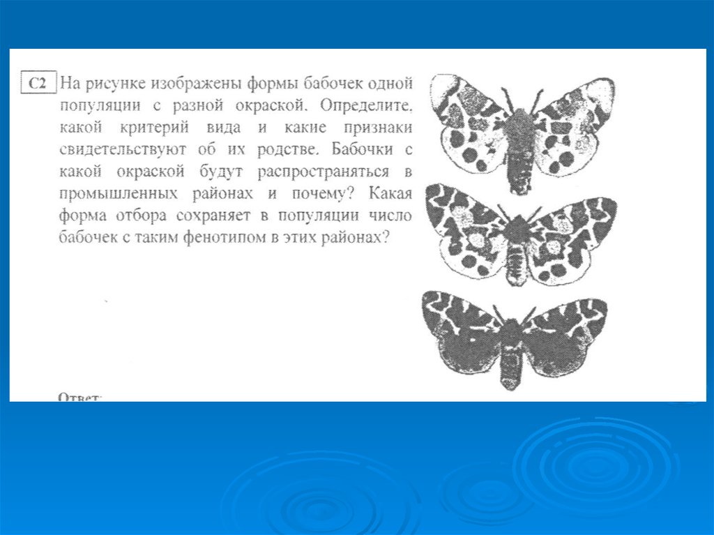Бабочка какая признаки. Форма отбора бабочек. Система бабочка. Форма бабочки характерна для?.