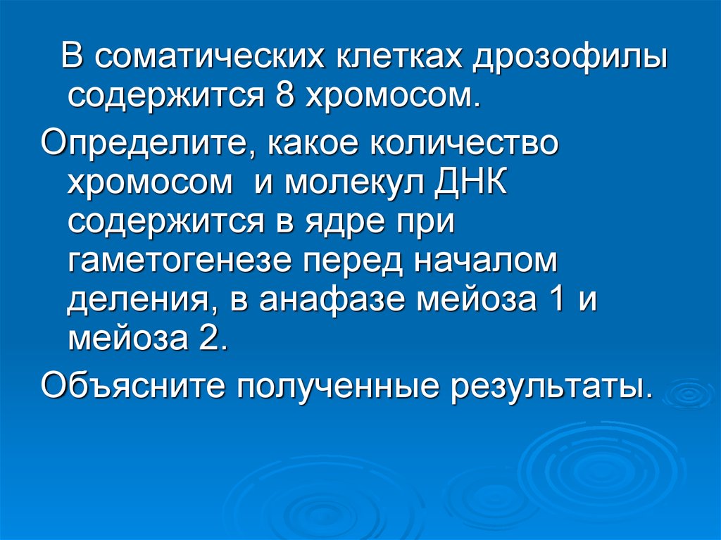 Количество хромосом в соматических. В соматических клетках дрозофилы содержится 8. В соматических клетках дрозофилы содержится 8 хромосом определите. В соматических клетках дрозофилы содержится 8 хромосом какое число. Соматическая клетка дрозофилы.