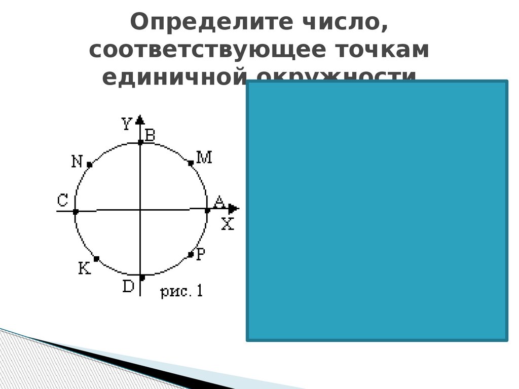 Криволинейные координаты. Криволинейная координата точки. Инверсия относительно единичной окружности. Косинусом называется точки единичной окружности.