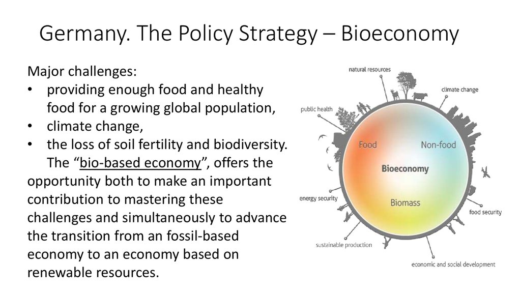 Germany. The Policy Strategy – Bioeconomy