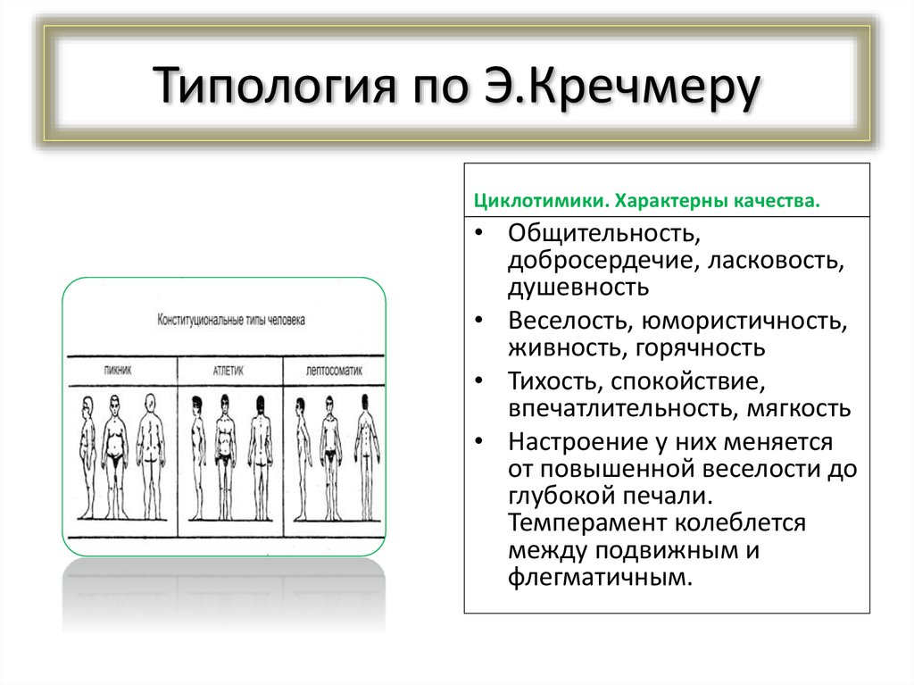 Типология э кречмера