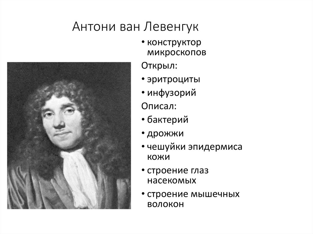 Какой метод использовал антони ван левенгук