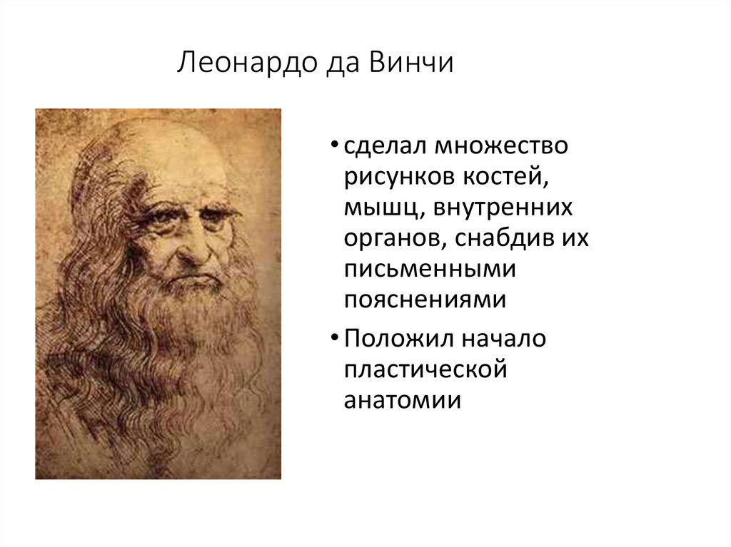 Леонардо да винчи великий человек. Леонардо да Винчи. Линейка Леонардо да Винчи. Леонардо да Винчи PNG. Руки да Винчи.