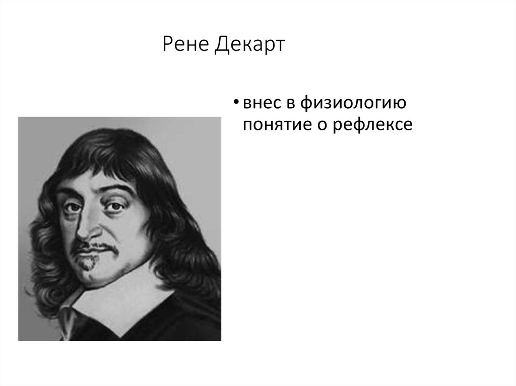 Декарт 5. Рене Декарт. Пьер ферма и Рене Декарт. Рене Декарт фото. Рене Декарт Мем.