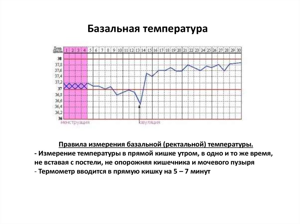 Какая ректальная температура. Базальная термометрия в гинекологии. Ректальное измерение температуры. Правила измерения базальной температуры. Базальная температура в прямой кишке.