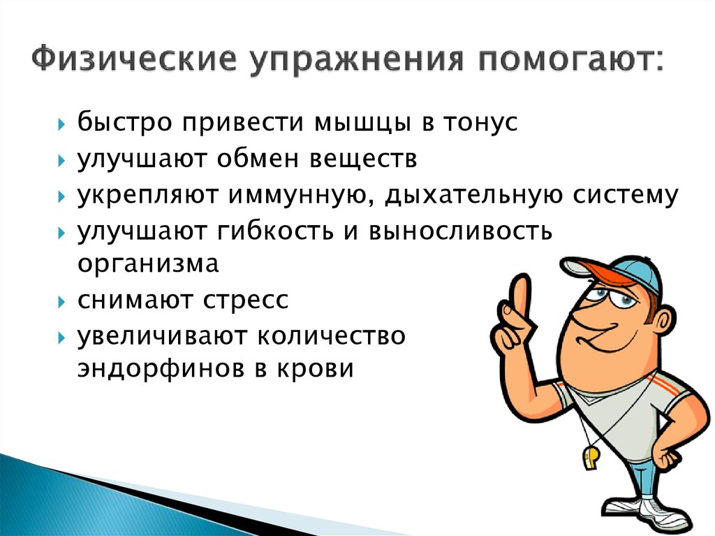 Влияние физических упражнений на мышцы презентация