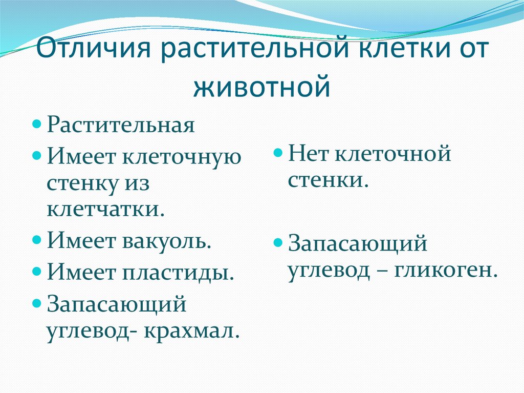 Чем отличаются животные от растений 5 класс