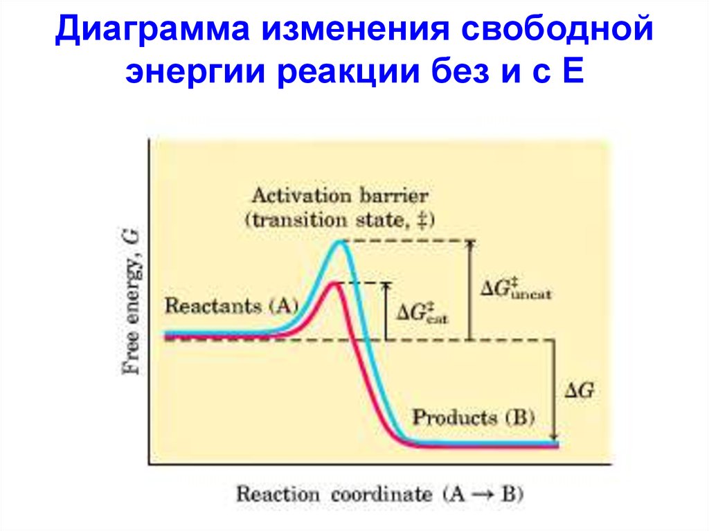 Свободные реакции. Диаграмма изменения энергии реакции. Диаграмма свободной энергии реакции. Изменение свободной энергии реакции. График изменения свободной энергии.