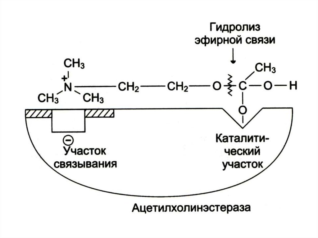 Участок связи. Эфирная связь.