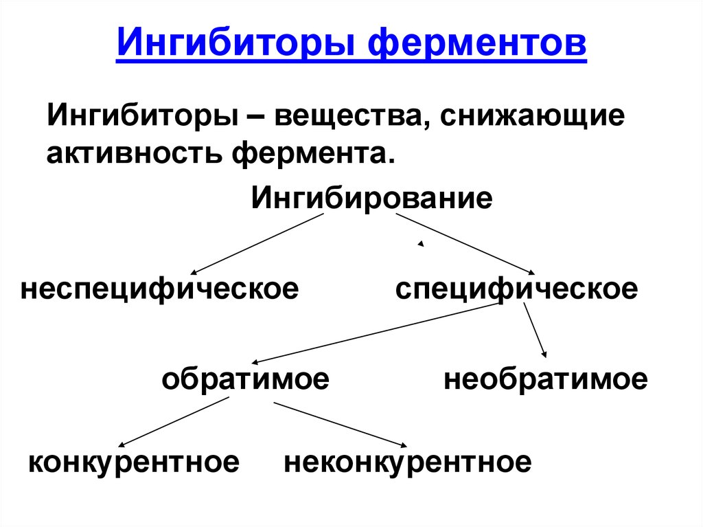 Абсолютная специфичность ферментов