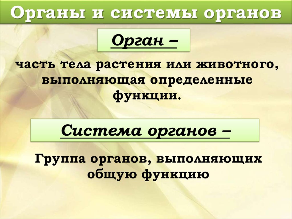 Правило орган. Система органов это в биологии. Что такое орган по биологии. Вывод органы и системы органов животных. Что такое орган в биологии 7 класс.